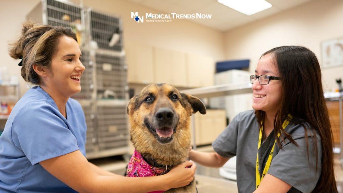 Choosing The Right Pet For Physicians and Doctors - Medical Trends Now, veterinary, dogs, cats
