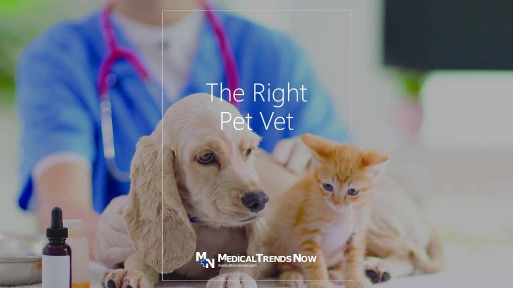 How To Choose The Right Pet Veterinary Clinic - Medical Trends Now Philippines, Pinoy veterinarian, veterinary, Filipino vet doctors, veterinary technician, veterinary science, veterinary medicine, veterinary hospital