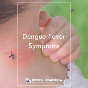 Dengue Fever Symptoms That Filipinos Need to Know