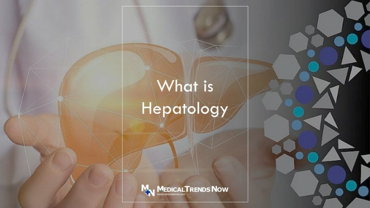 What is the difference between a gastroenterologist and hepatologist?