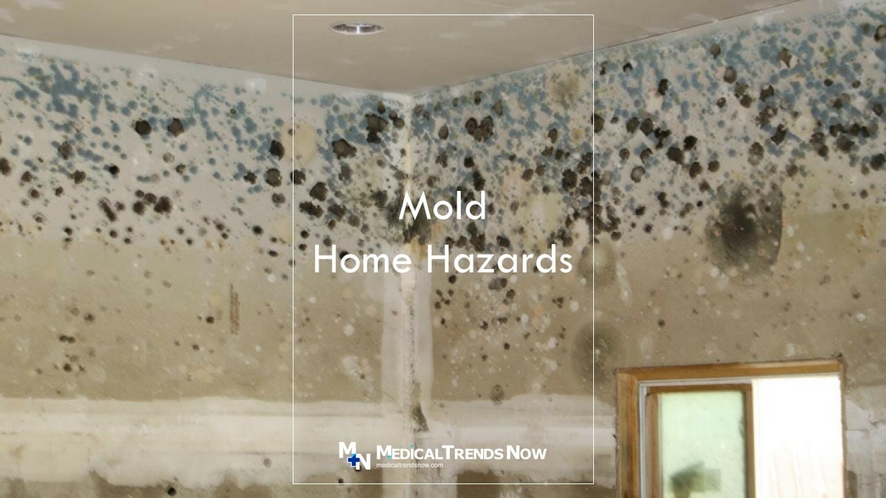What are the 10 hazards in the house? Mold