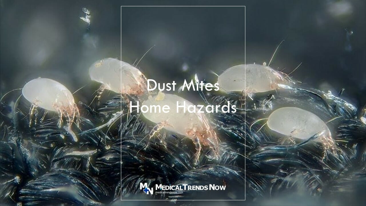 What are the hazards in the bedroom and dining area? dust mites