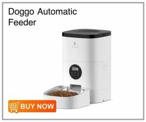 Doggo Automatic Pet Feeders in the Philippines