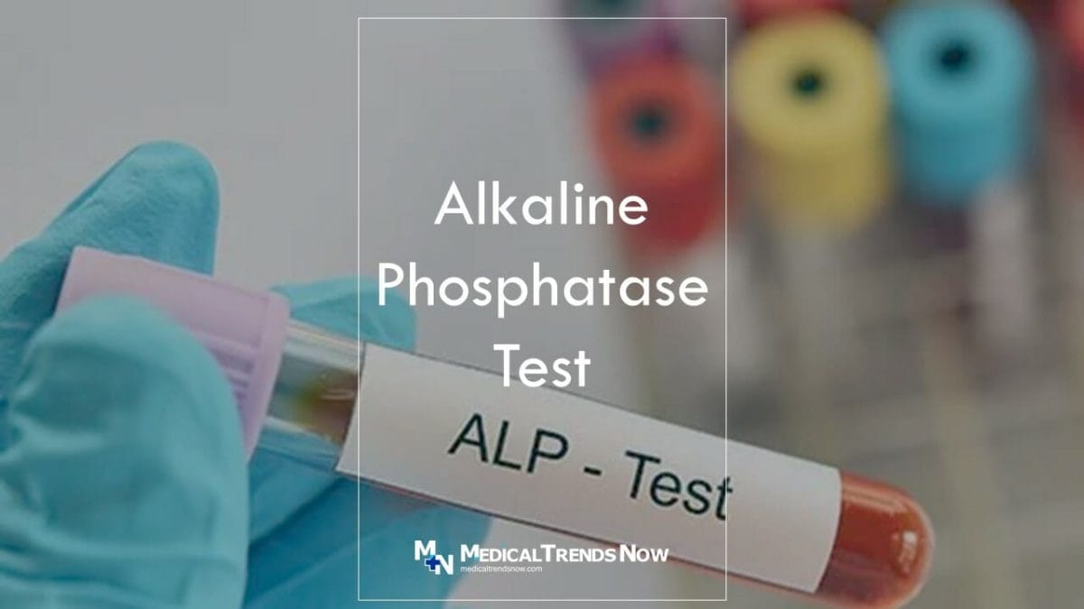 What foods increase ALP Alkaline Phosphatase?