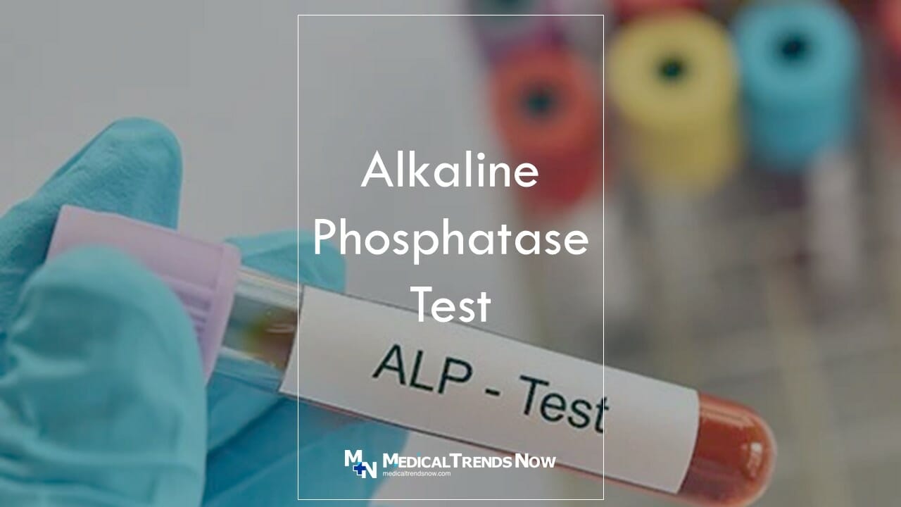 What foods increase ALP Alkaline Phosphatase?