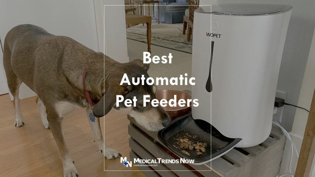 How long do automatic cat feeders last?