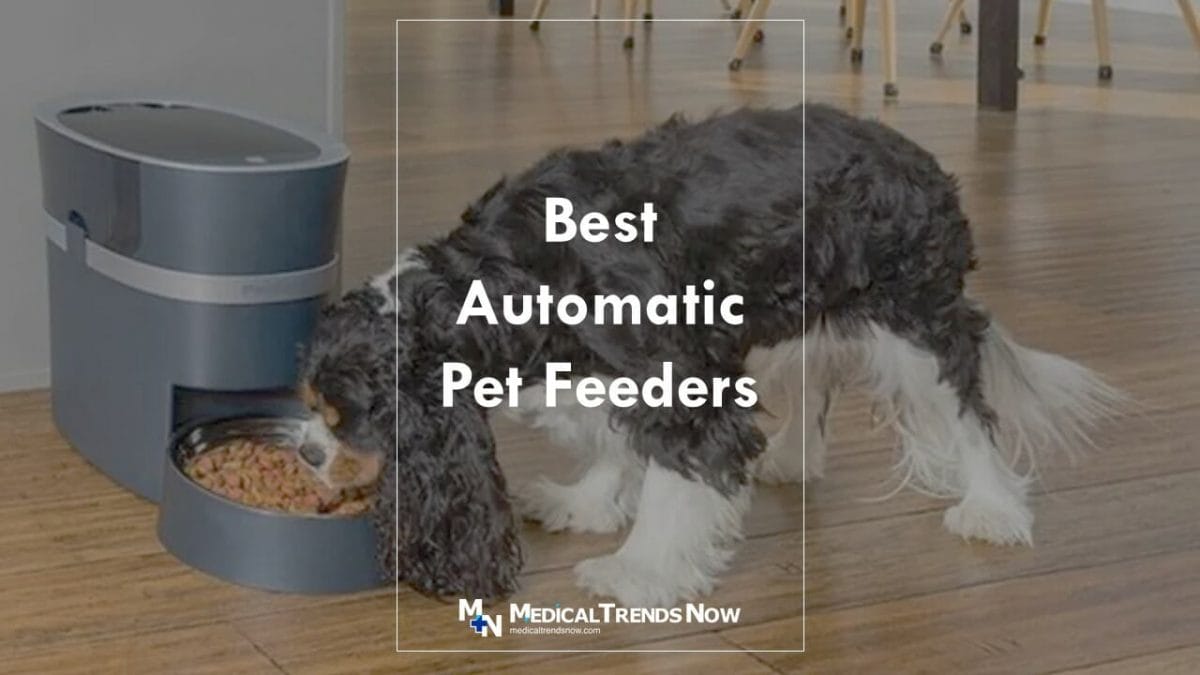 Are automatic pet feeders good for cats?