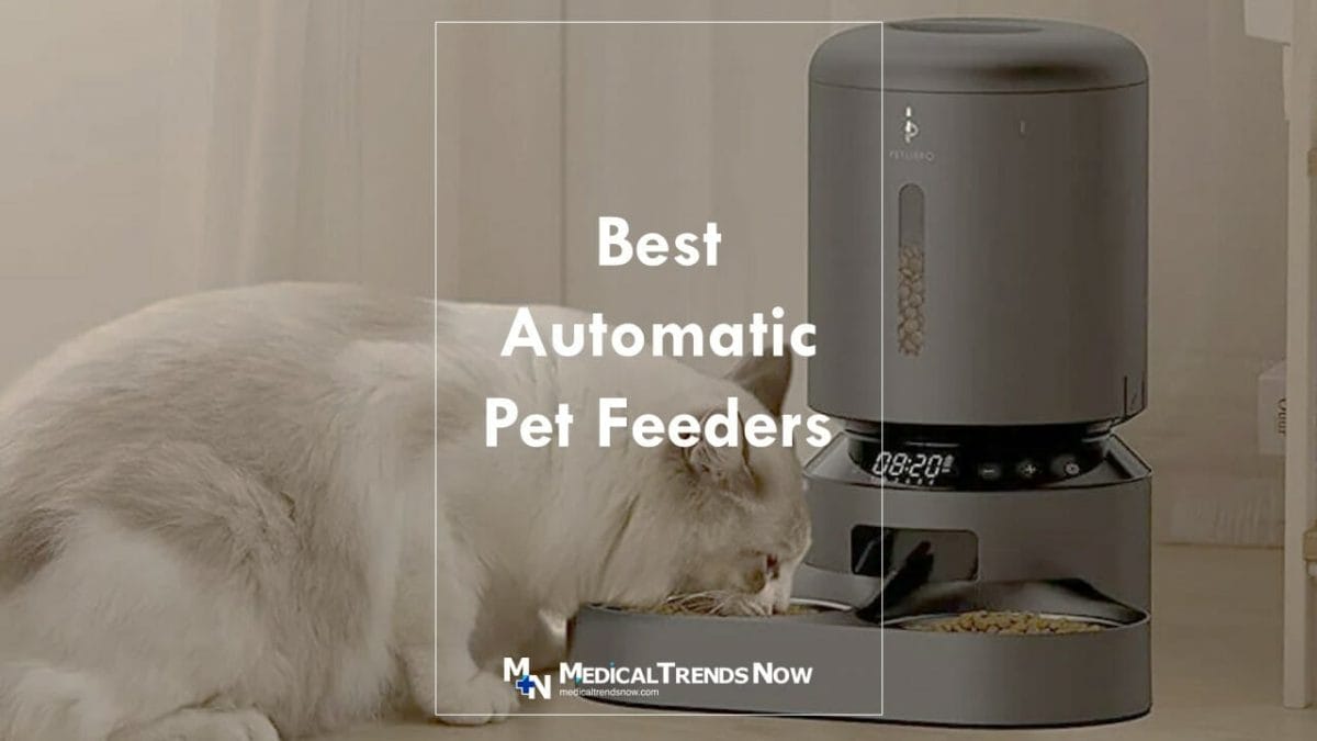 Do two cats need two automatic feeders?