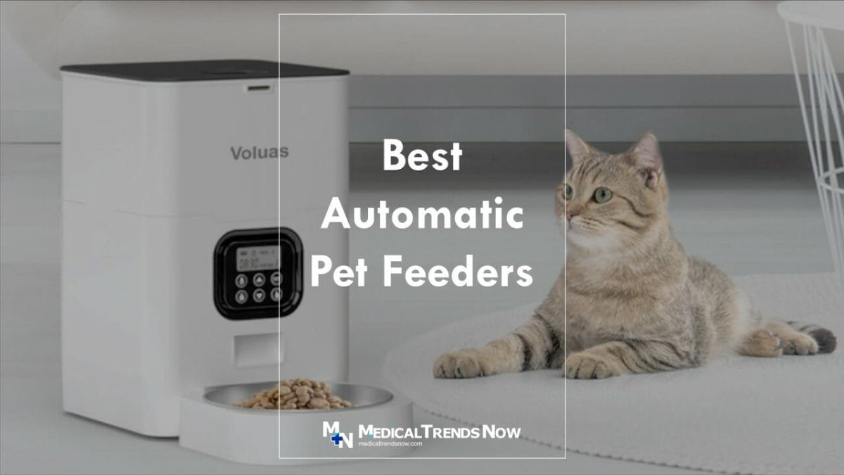 What is the top rated automatic cat feeder?