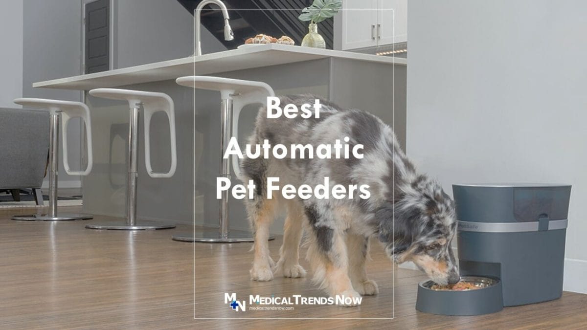 Are automatic feeders good for dogs?