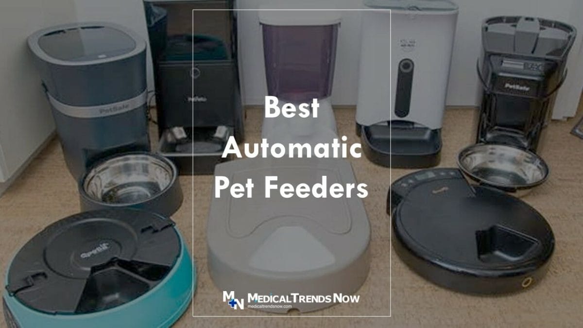 How do you use an automatic pet feeder?