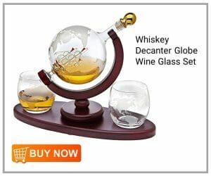 Whiskey Decanter Globe Wine Glass Set