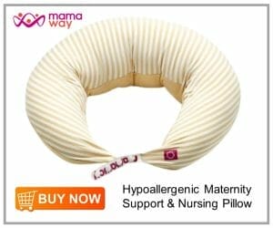 Mamaway Hypoallergenic Maternity Support _ Nursing Pillow
