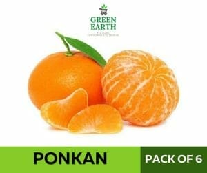fresh Ponkan 